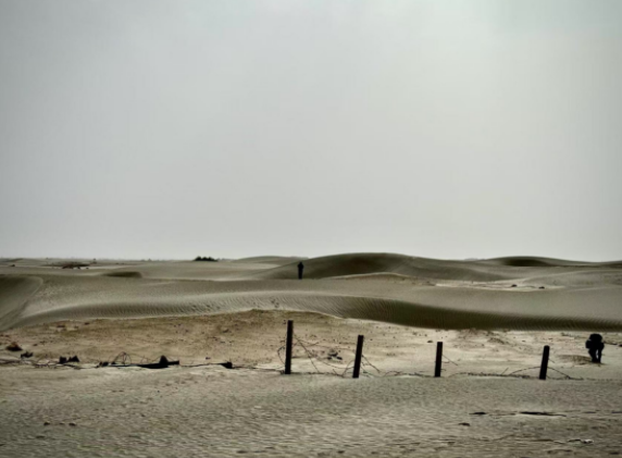 教育将在学生教师业界专家共同形成的圈层中自然生发恣意生长