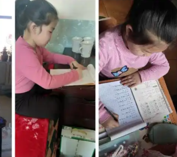 假期教育的特色让每个学生都能在假期中找到适合自己的成长方